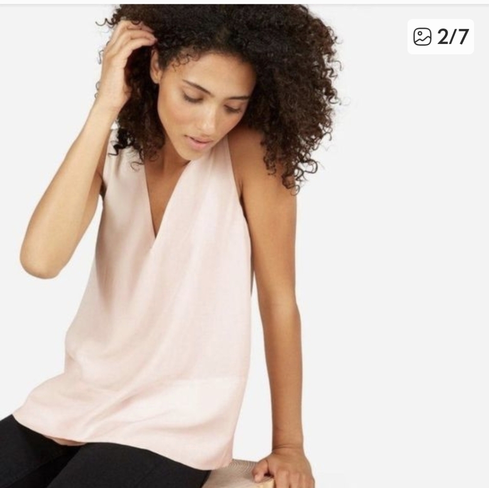EVERLANE The Double-Lined Silk V-Neck Tank